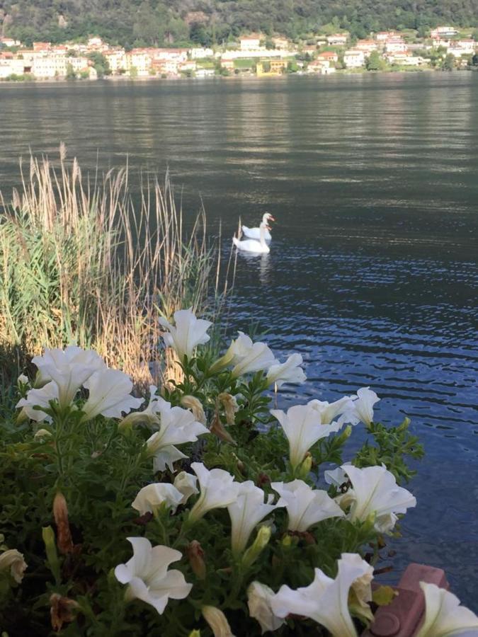La Casa Dei Cigni Sul Lago D'Orta Omegna Kültér fotó